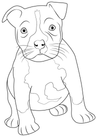 how-to-draw-Pitbull-Puppy-step-0